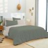 Parure Housse de couette 220x240 + DH Eucalyptus / Lin