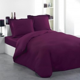 Drap plat Percale 270x310...