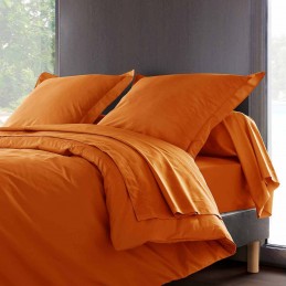 Taie de traversin Percale...